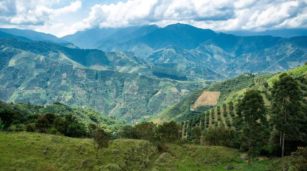 Paisaje monta&ntilde;oso de Colombia que ver: terrazas de cultivo y cafetales cubren las laderas verdes bajo un cielo nublado.