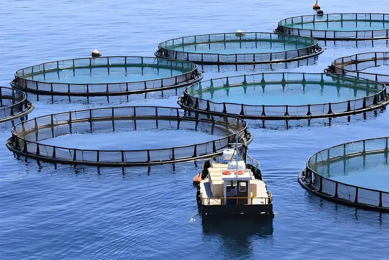 Fermes aquacoles circulaires dans l'océan bleu. Un bateau navigue, peut-être pour vérifier le potentiel redox de l'eau.