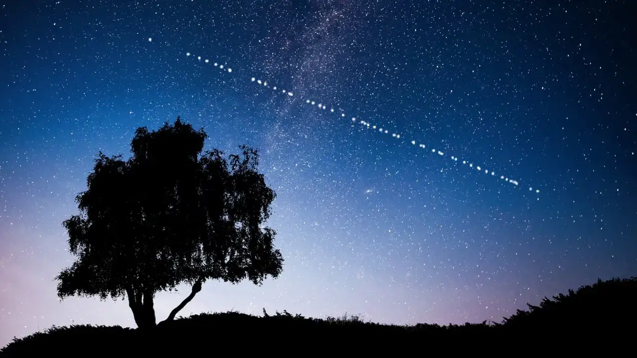 Nocne niebo nad drzewem, na którym widać sznur jasnych punktów – to **starlink przeloty**.