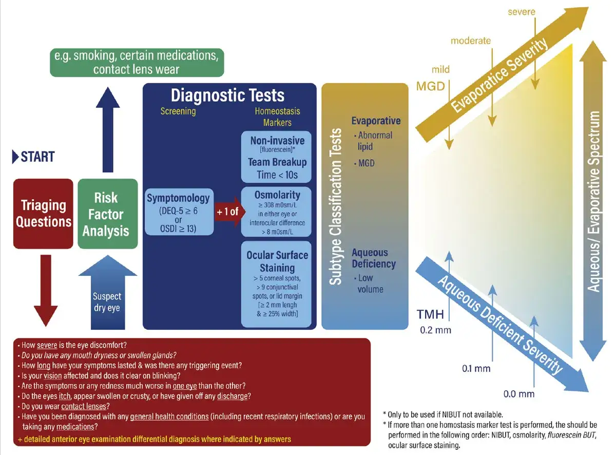 Diagramma per la diagnosi e classificazione dell'occhio secco, con test diagnostici e fattori di rischio per una corretta cura.