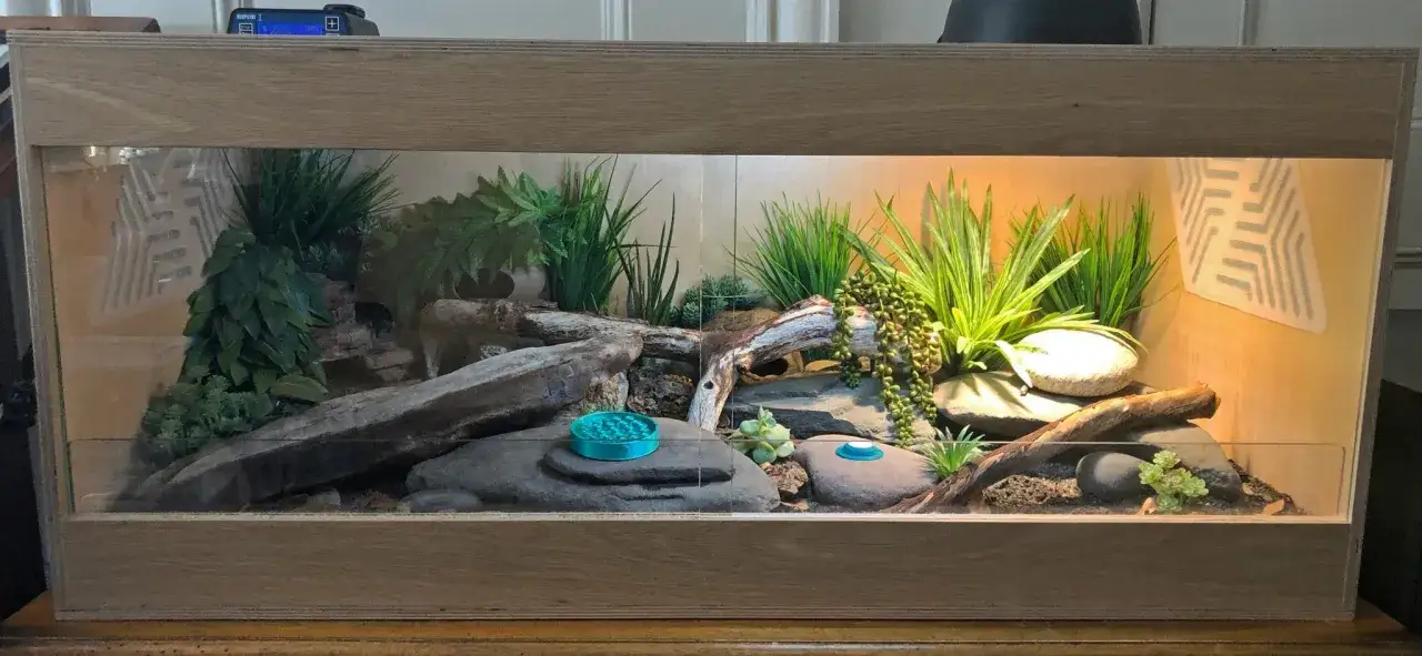 Idealne terrarium dla gekona lamparciego: kamienie, korzenie, rośliny i kryj&oacute;wki tworzą naturalne środowisko.
