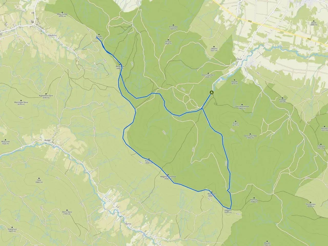 Trasa piesza z psem przez Magurski Park Narodowy, wiodąca przez szczyty takie jak Mag&oacute;ra i Ostra G&oacute;ra.