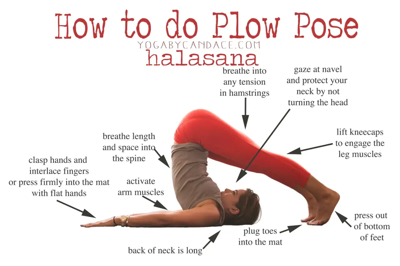 Mujer en postura del arado yoga (halasana). Instrucciones detalladas para una práctica segura y efectiva.