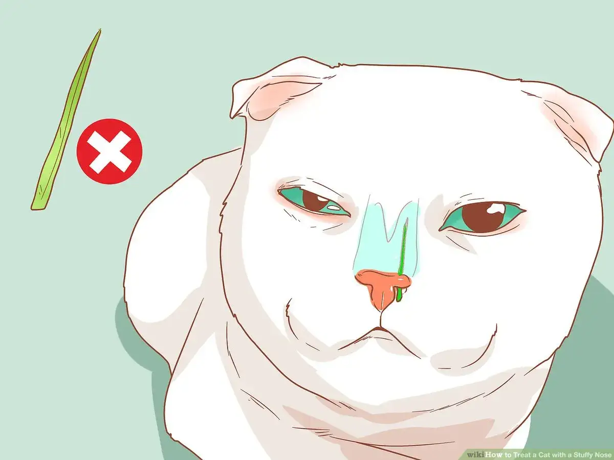 Gato blanco con ojos verdes y nariz congestionada. Una brizna de hierba y una cruz roja indican que no es un remedio casero para mi gato estornuda mucho.