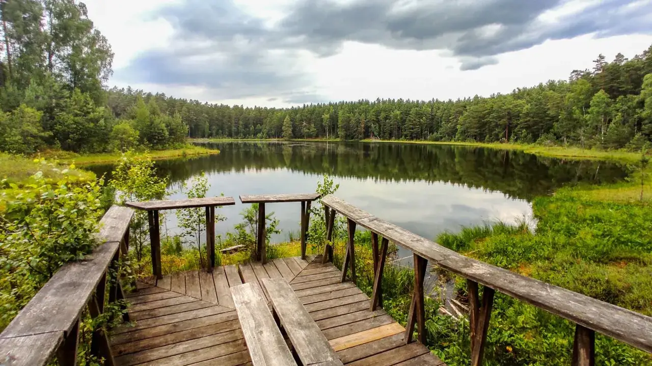 Drewniana platforma nad spokojnym jeziorem, idealne miejsce na jasne kąpiel. Otoczone lasem, zaprasza do relaksu.