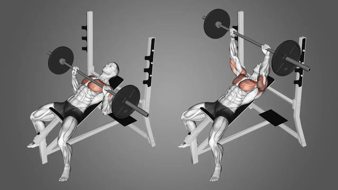Man utf&ouml;r incline press med skivst&aring;ng p&aring; en b&auml;nk.