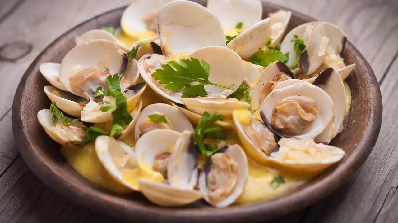 Venusmuscheln in cremiger Sauce, garniert mit Petersilie. Ein k&ouml;stliches Venusmuscheln Rezept, das Lust auf mehr macht.