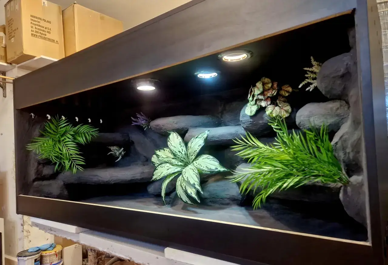 Wyposażenie terrarium dla gadów