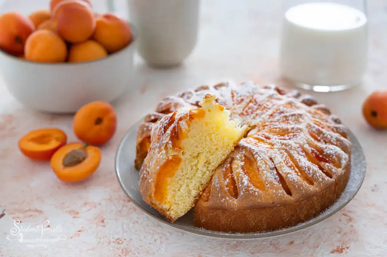 Torta albicocche e yogurt soffice, cosparsa di zucchero a velo, con albicocche fresche e una fetta tagliata.