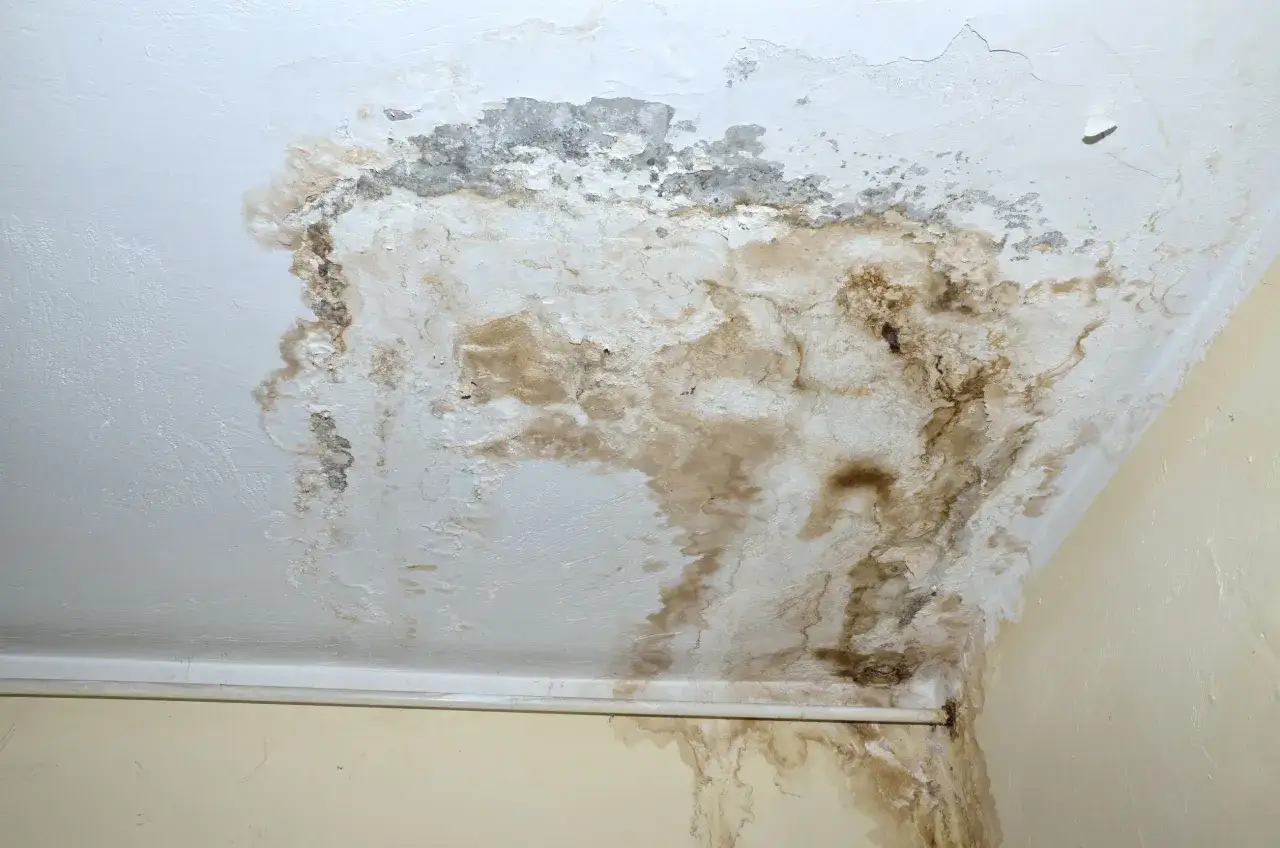 Plafond tach&eacute; par l'humidit&eacute;, la peinture s'&eacute;caille. Des traces brunes indiquent une infiltration d'eau, un signe de point de ros&eacute;e maison &agrave; traiter.