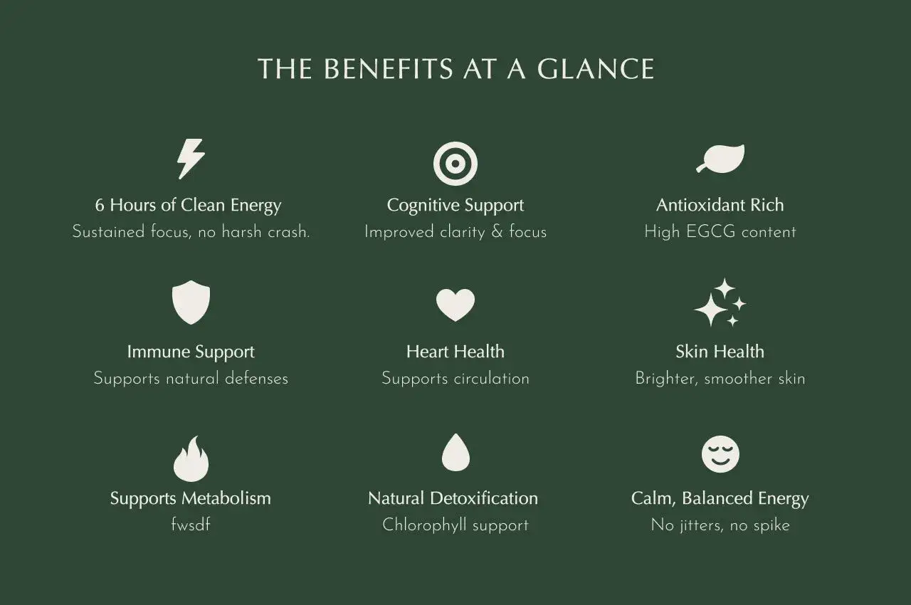 Découvrez les matcha bienfaits : énergie, concentration, peau éclatante, immunité, cœur sain, détox et calme.