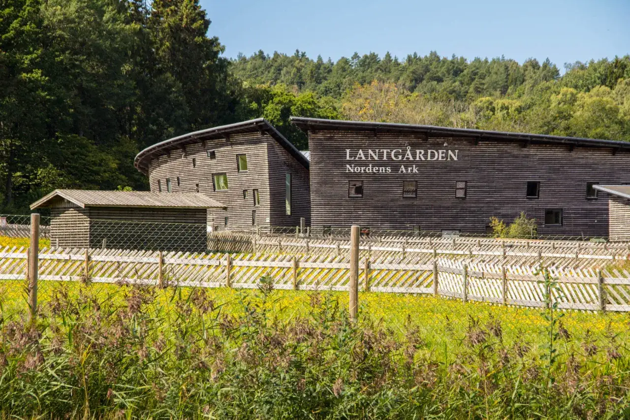 Tr&auml;byggnader med texten 