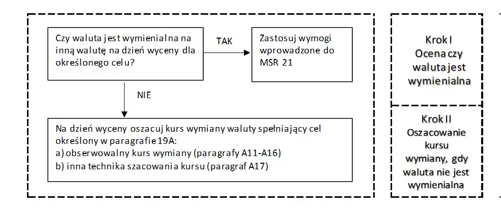 Zdjęcie Co dalej po opisie i oszacowaniu nieruchomości? Kluczowe kroki i terminy