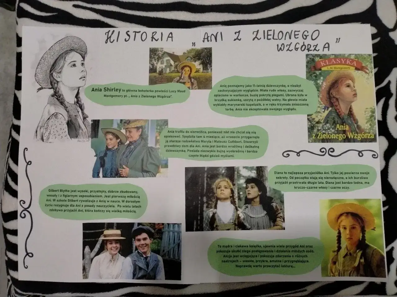 Zdjęcie Kreatywny lapbook "Ania z Zielonego Wzgórza" - projekt dla dzieci