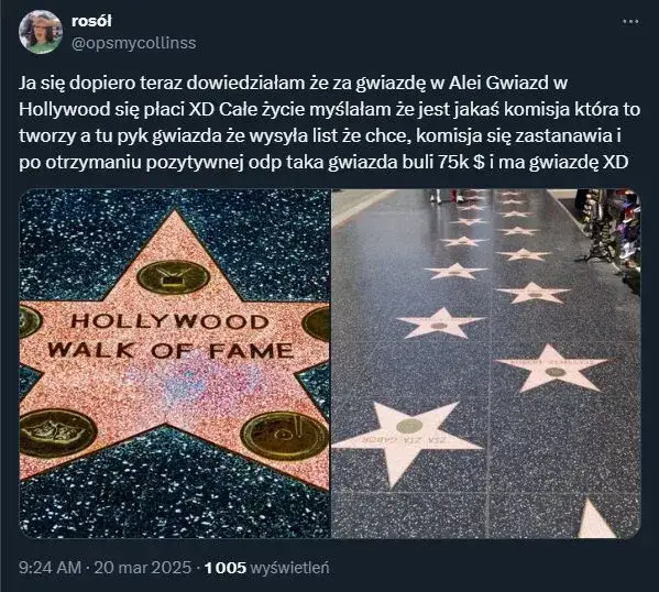 Zdjęcie Ile jest gwiazd w alei Hollywood? Zaskakujące fakty i historia