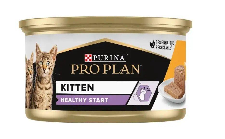 karma mokra starter dla kociąt