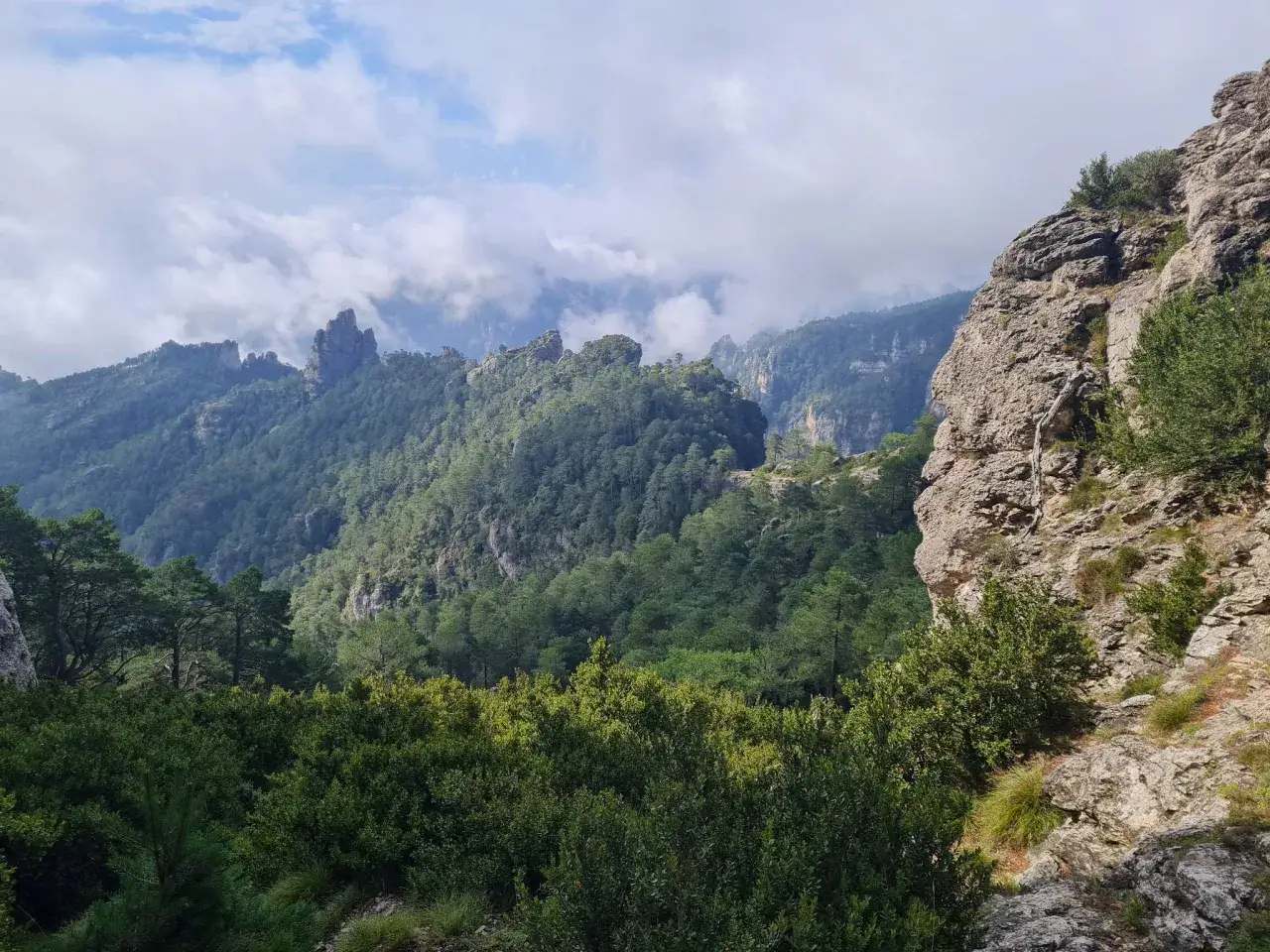 Majestuosas monta&ntilde;as cubiertas de pinos, con formaciones rocosas que parecen estels del sud bajo un cielo nublado.