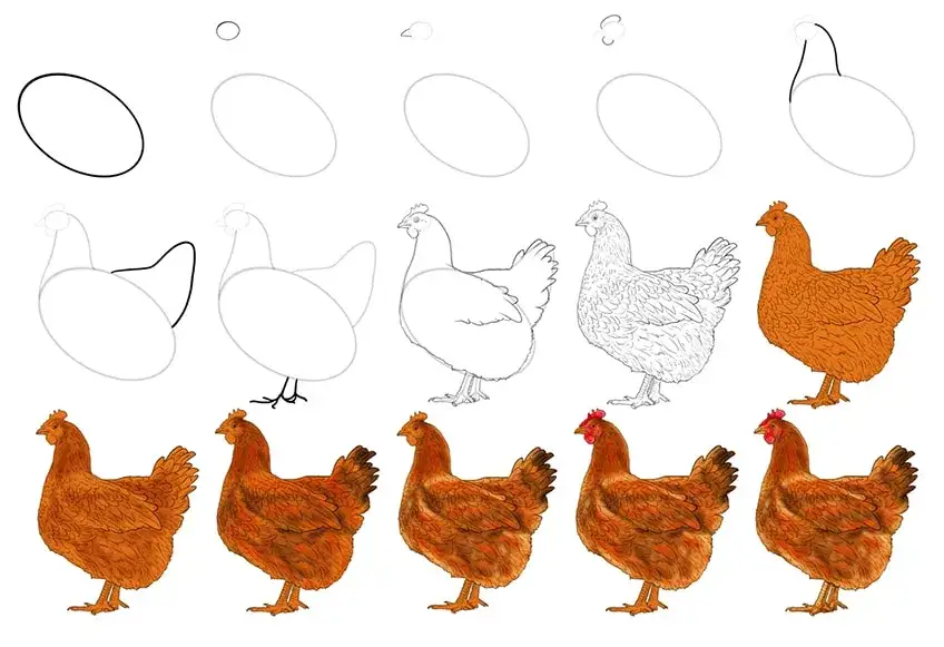 Huhn zeichnen Schritt f&uuml;r Schritt Anleitung Skizze
