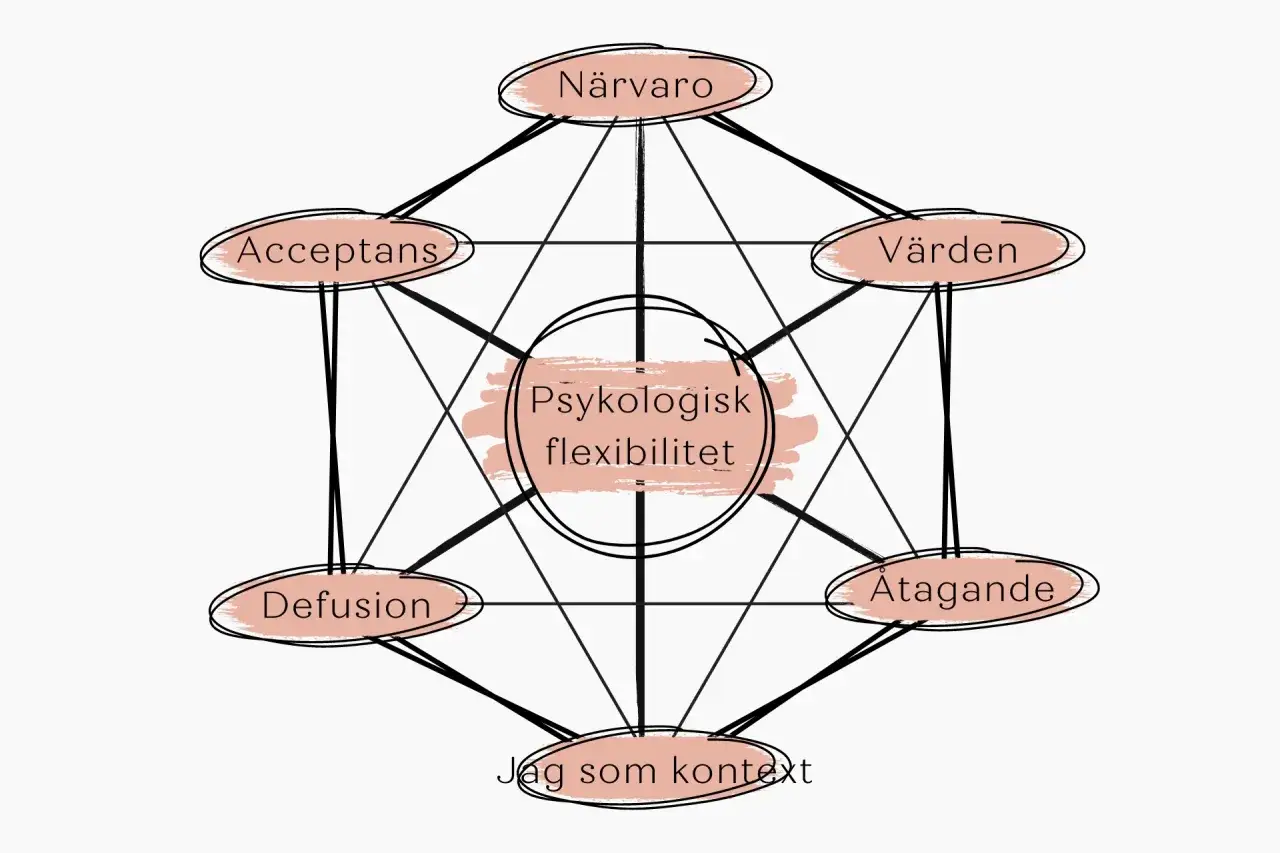 Diagram över psykologisk flexibilitet, centralt i acceptance and commitment therapy svenska. Visar närvaro, acceptans, värden, åtagande, jag som kontext och defusion.