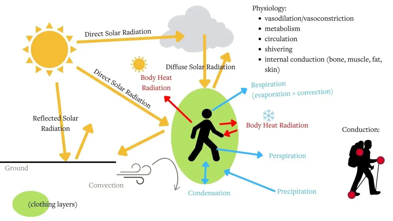 Sch&eacute;ma expliquant les &eacute;changes thermiques du corps humain, incluant le soleil, la convection, la transpiration et la conduction. Une veste 3 couches est repr&eacute;sent&eacute;e.