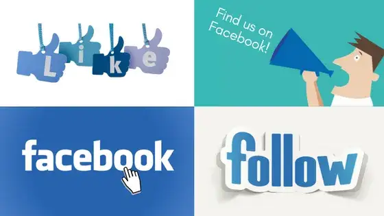 Facebook Seite Follower vs Likes