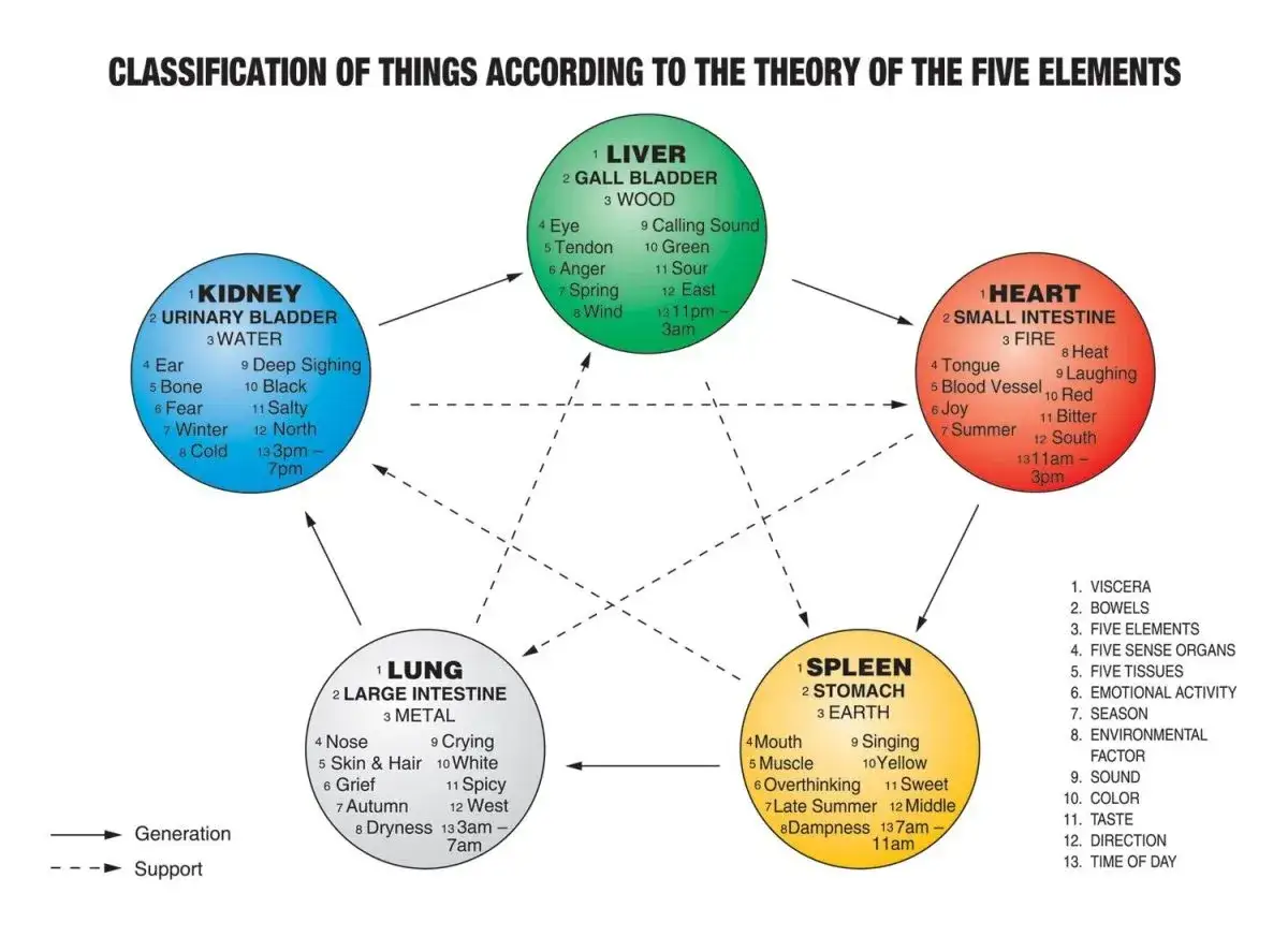 Schema della teoria dei cinque elementi: metallo, acqua, legno, fuoco, terra, con organi associati e caratteristiche.