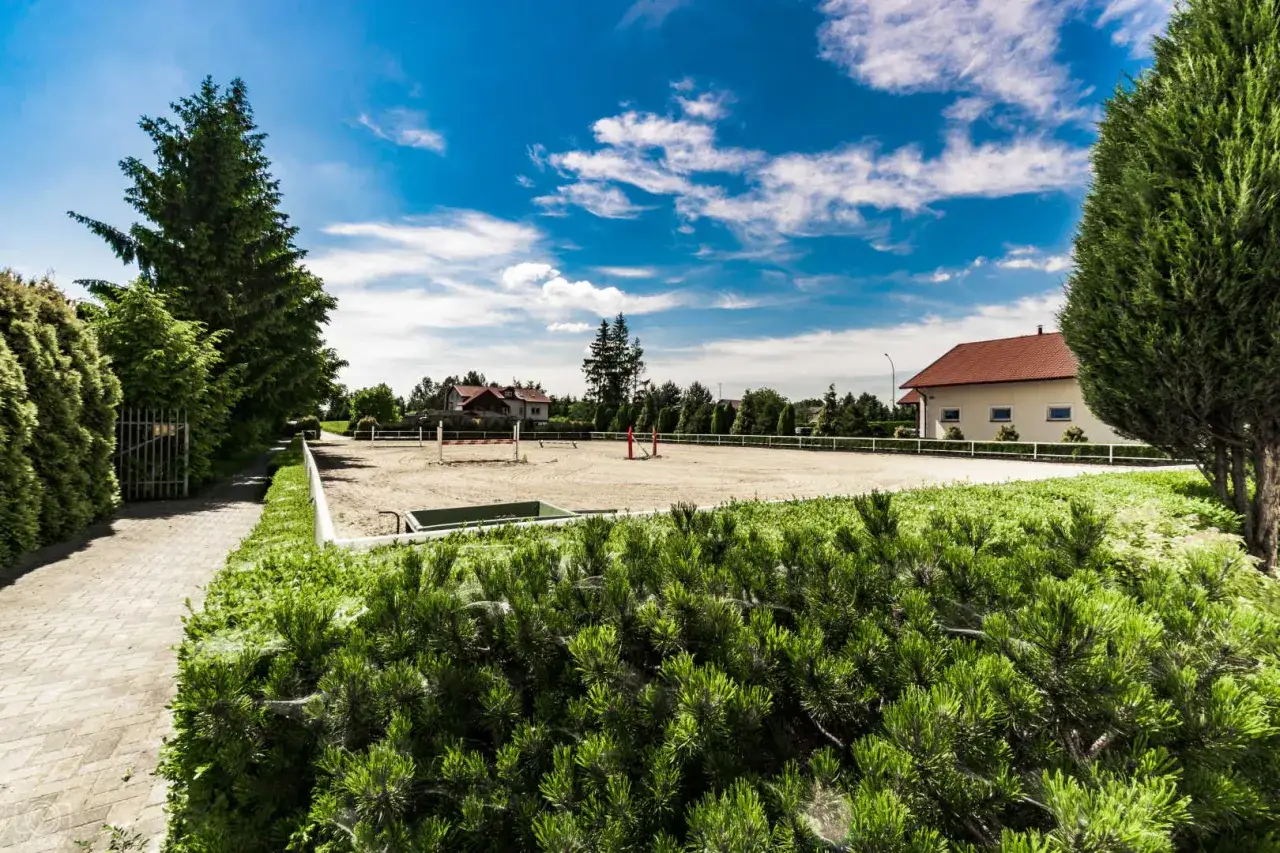 Piękna stadnina koni Durok z piaszczystym parkurem i zielonymi drzewami pod błękitnym niebem.