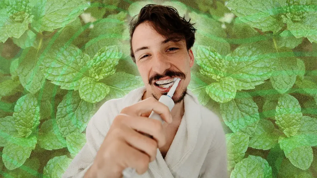 Un homme se brosse les dents avec une brosse &eacute;lectrique, entour&eacute; de feuilles de menthe, rappelant les menthe bienfaits pour la fra&icirc;cheur.