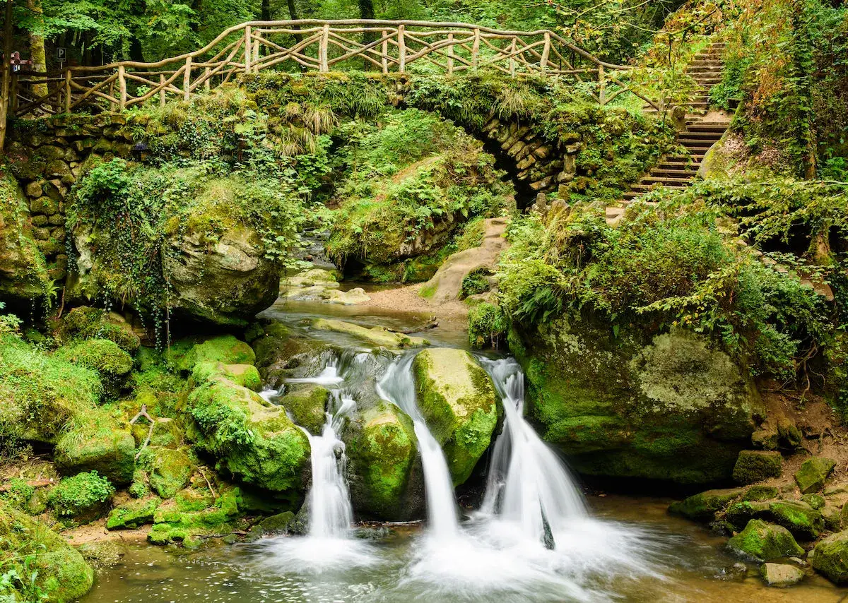 Pont de bois enjambant une cascade dans une for&ecirc;t luxuriante, un paysage digne d'une petite Suisse luxembourgeoise.