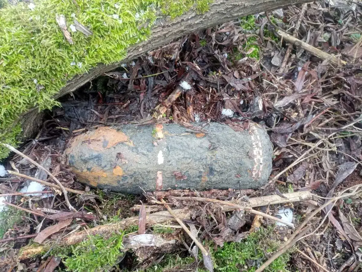 Stary, skorodowany pocisk artyleryjski leży wśród liści i mchu, przypominając o dawnych konfliktach.