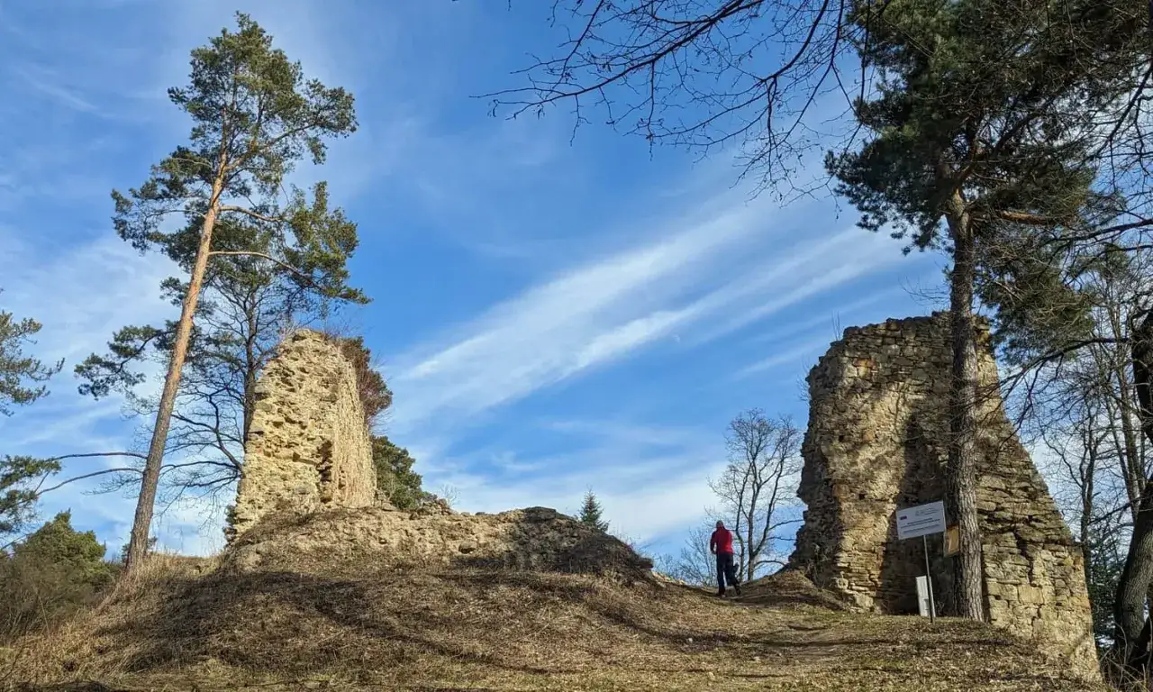 Ruiny zamku nad Jeziorem Rożnowskim. Kamienne mury i wieże, wysokie sosny, błękitne niebo z chmurami.