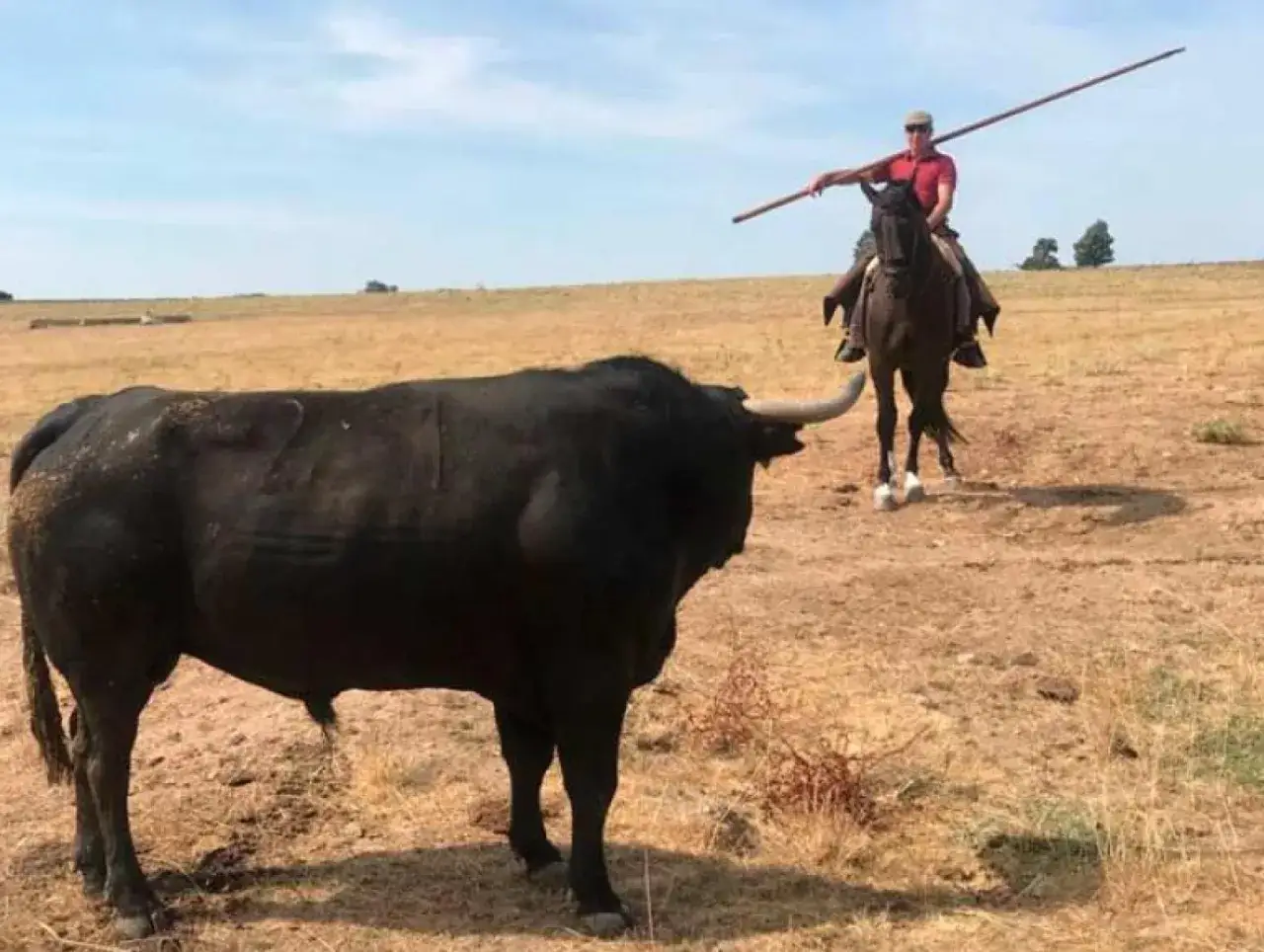 Un jinete con una lanza, como Jos&eacute; Luis Iniesta, se enfrenta a un toro negro en un campo seco.