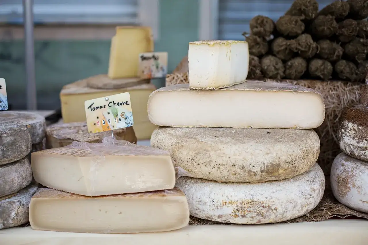 Formaggi di capra, perfetti per chi soffre di intolleranza al lattosio. Diverse forme e stagionature in esposizione.