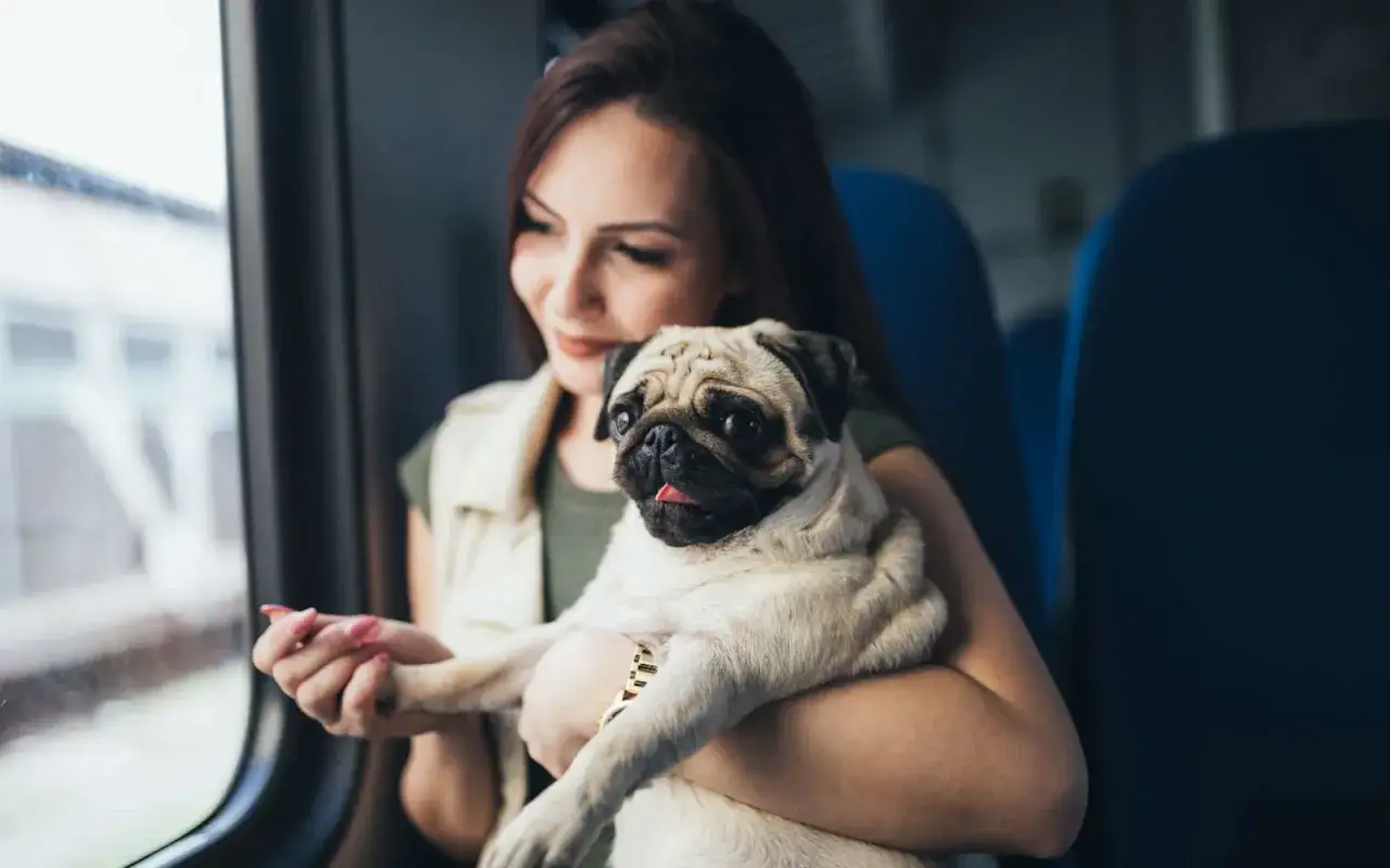 Une jeune femme tient un carlin sur ses genoux, regardant par la fenêtre d'un train. Ce chien en Suisse semble apprécier le voyage.