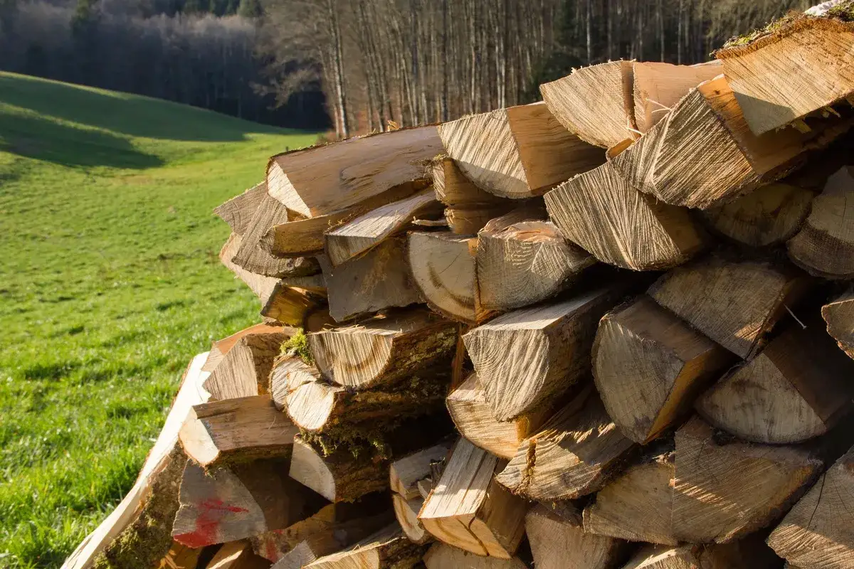Gros tas de bois de chauffage, prêt pour l'hiver. L'essence de bois de chauffage promet de belles flambées.