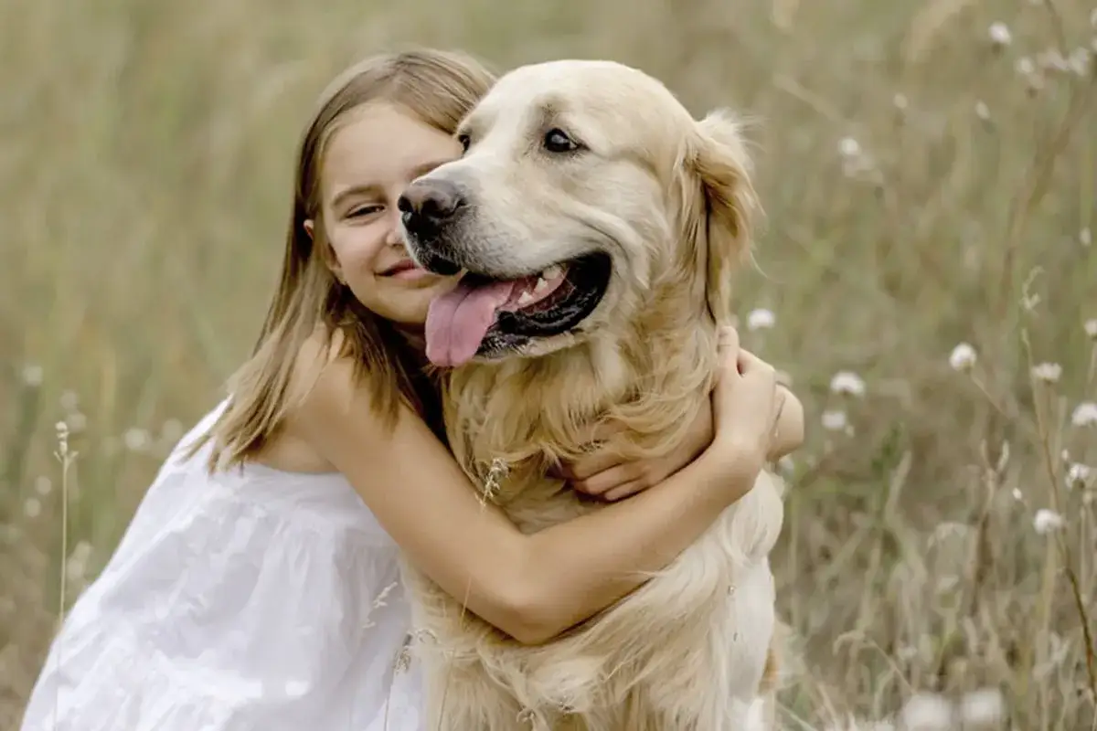 Bambina abbraccia un Golden Retriever, uno dei migliori razze di cani, in un prato fiorito.