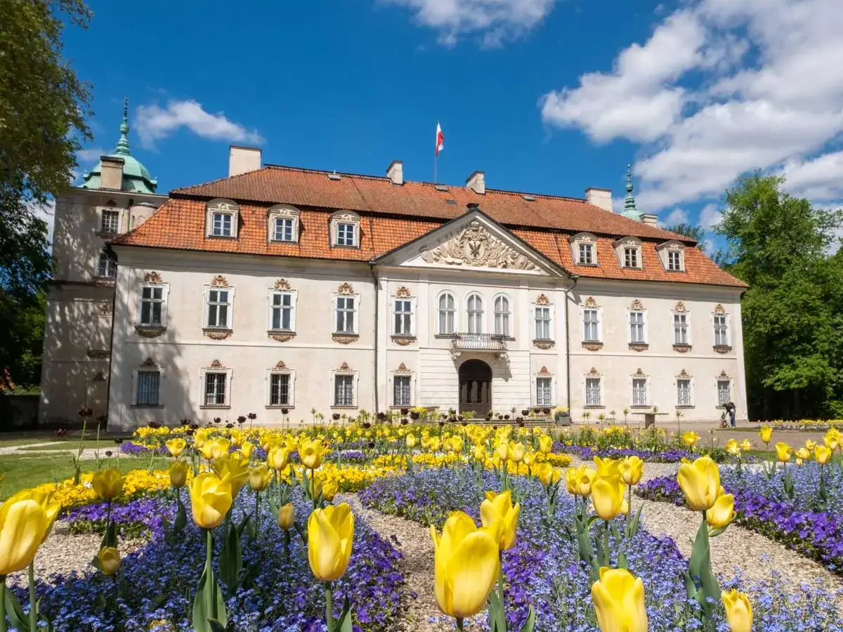 Pałac z pięknym ogrodem pełnym żółtych tulipanów i fioletowych kwiatów. Wspaniałe okolice Łodzi atrakcje dla każdego.