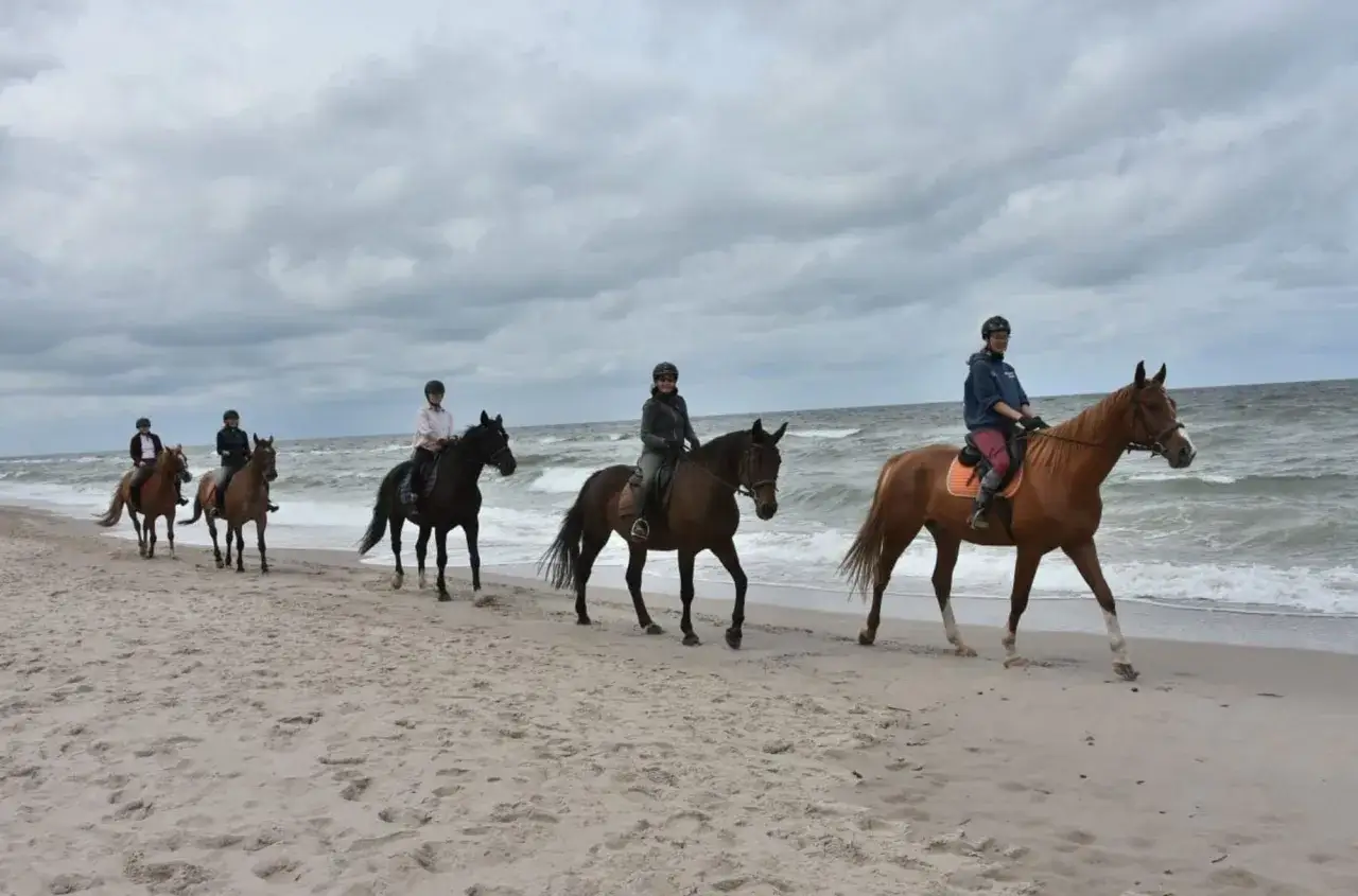 Stajnia Koni Horyzont Jarosławiec konie na plaży