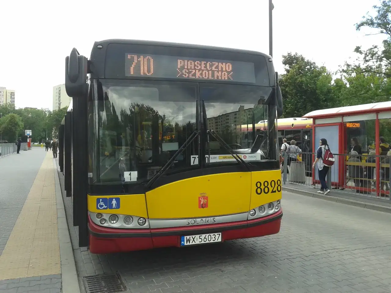 Autobus 710 relacji Piaseczno - Szkolna czeka na pasażerów. Sprawdź rozkład jazdy!