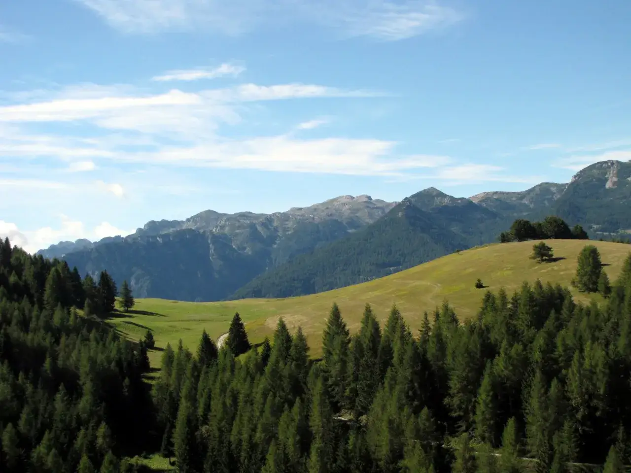 Un sentiero serpeggia su un prato verde, conducendo verso un passo sommo tra montagne boscose e cime rocciose sotto un cielo azzurro.
