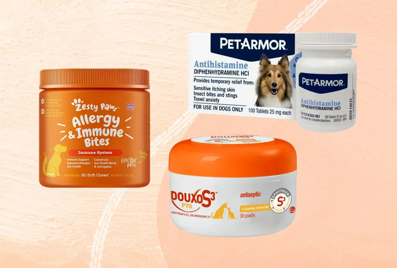 Zestawy na alergie dla psów: Zesty Paws Allergy & Immune Bites, PetArmor Antihistamine i Douxo S3 PYO. Pomagają w walce z swędzeniem, podobnie jak Apoquel.