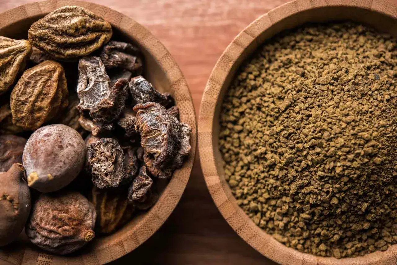 Zwei Holzschalen: eine mit getrockneten Triphala-Früchten, die andere mit Triphala-Pulver. Informationen zu triphala nebenwirkungen sind wichtig.