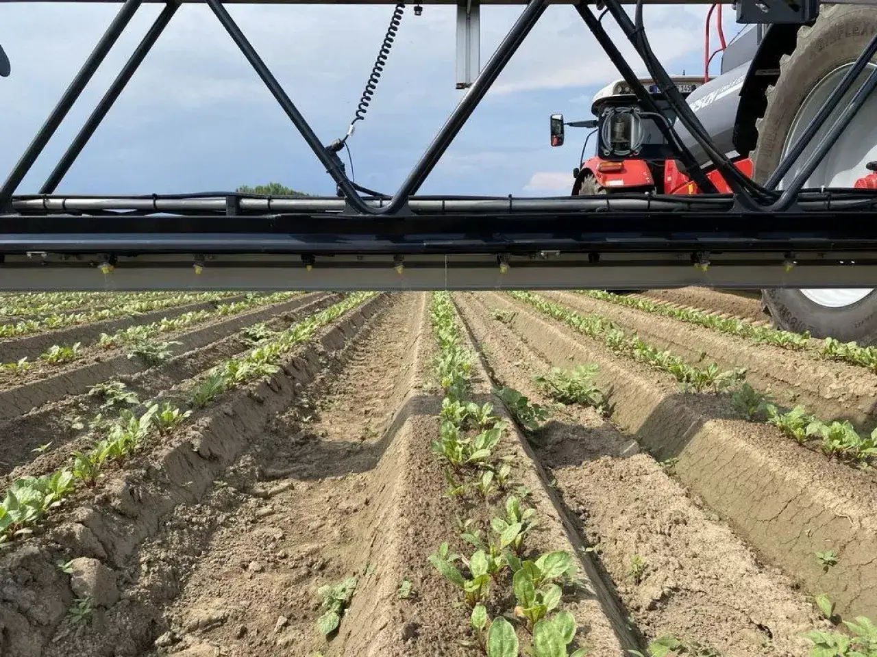 Rzędy młodych roślin na polu, nad którymi widać belkę opryskiwacza. W tle czerwony traktor, prawdopodobnie marki **Halvetic**, gotowy do pracy.