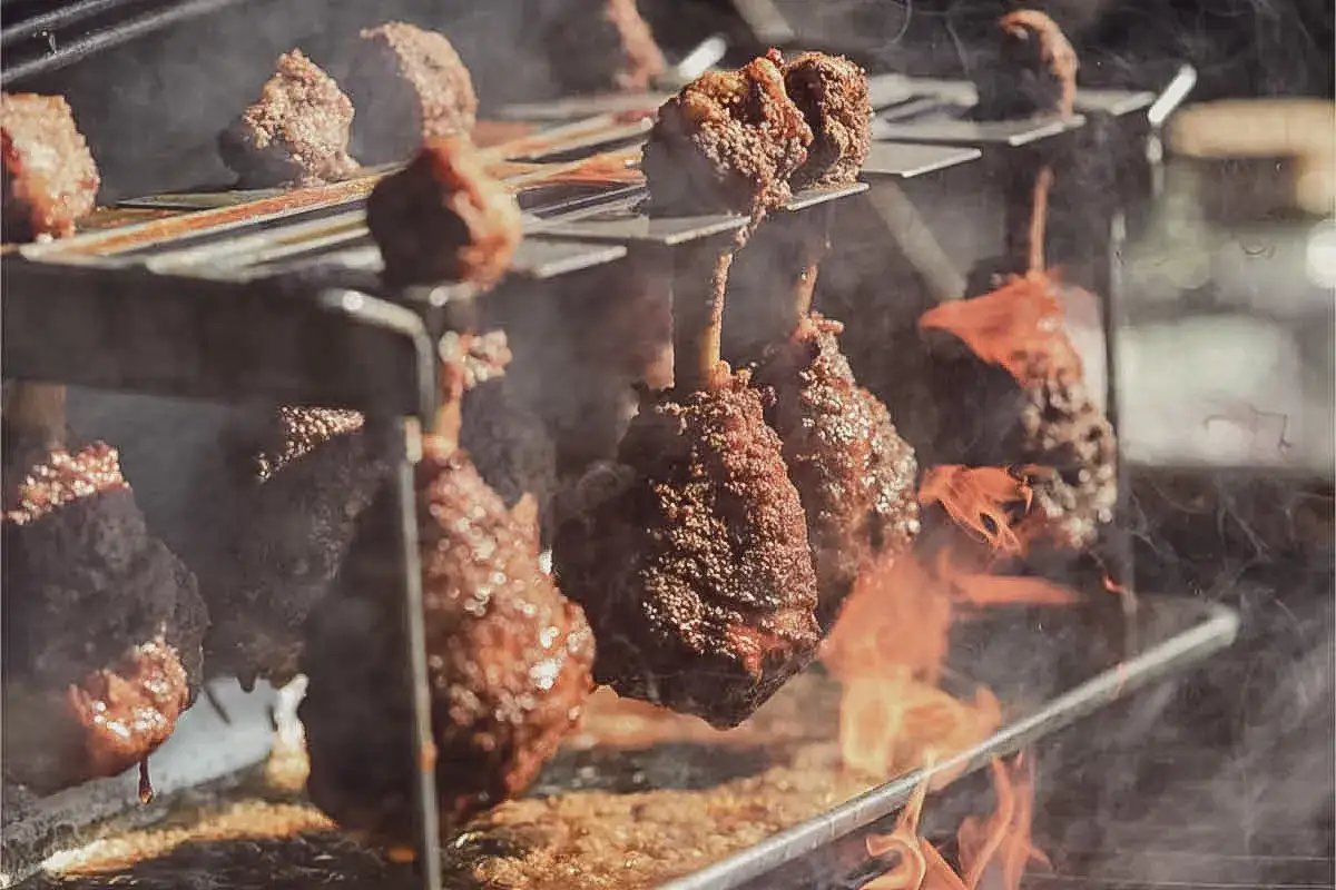 Fleischspie&szlig;e brutzeln &uuml;ber offenem Feuer. Die Frage welches Fleisch zum Grillen am besten geeignet ist, beantwortet sich hier von selbst: saftig und knusprig!