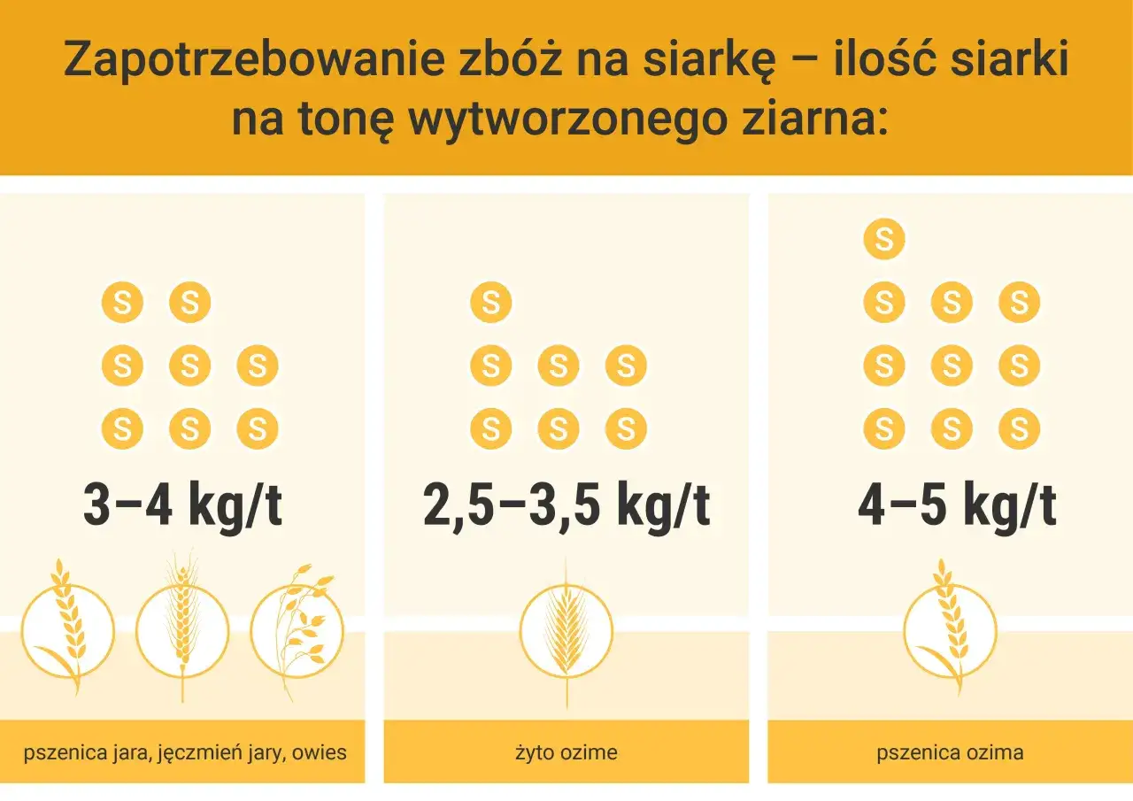 Zapotrzebowanie pszenicy ozimej na siarkę to 4-5 kg/t ziarna. Inne zboża mają mniejsze wymagania.