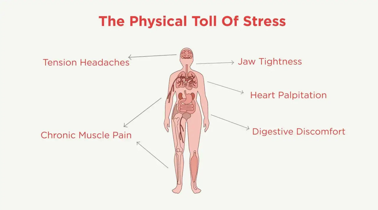 Diagramma del corpo umano che illustra gli effetti fisici dello stress, inclusi dolori muscolari diffusi, mal di testa, tensione alla mascella, palpitazioni e disturbi digestivi.