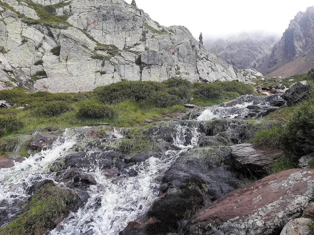 Cascada en la pica d'estats, ruta f&aacute;cil. Agua cristalina desciende por rocas y vegetaci&oacute;n, un paisaje monta&ntilde;oso sereno.