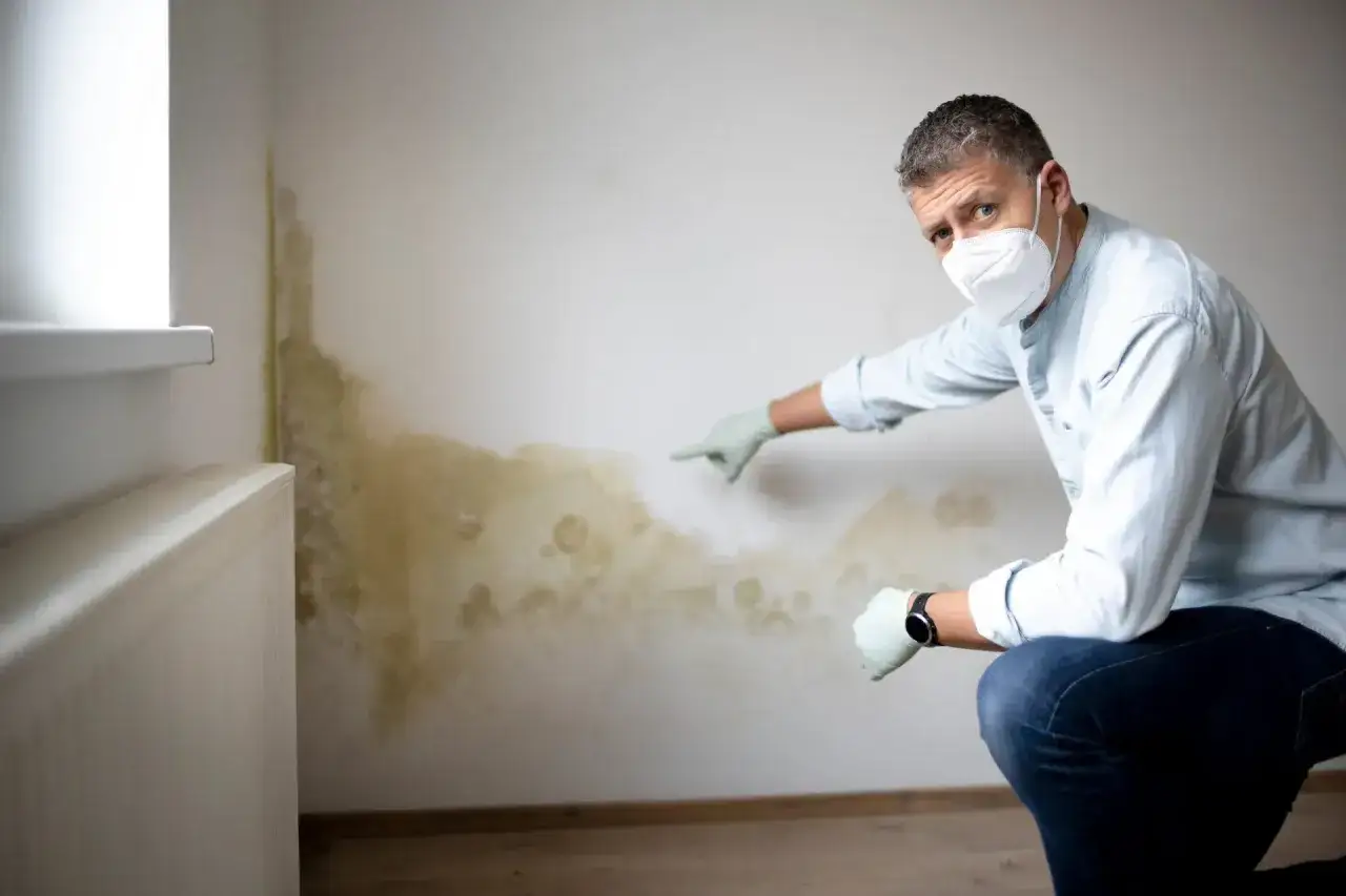 Mann mit Maske und Handschuhen zeigt auf deutlichen Schimmel in der Wohnung.