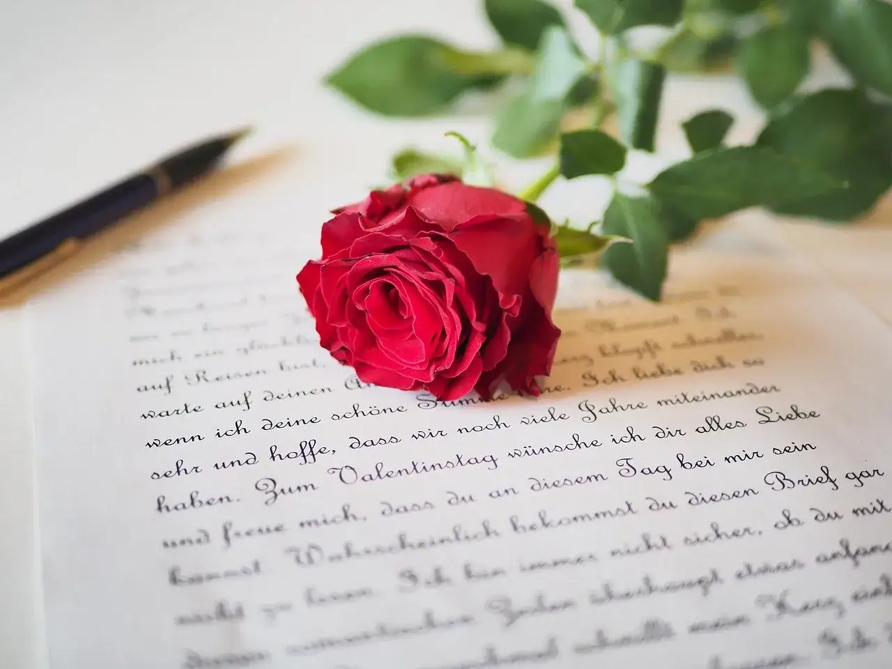 Eine rote Rose liegt auf einem Liebesbrief, der mit einer Feder geschrieben wurde. Perfekt f&uuml;r das Basteln eines Liebesbriefs.