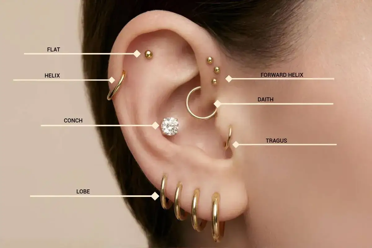 Ucho ozdobione wieloma kolczykami, w tym popularnym orbital piercingiem.